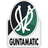 SV Ried